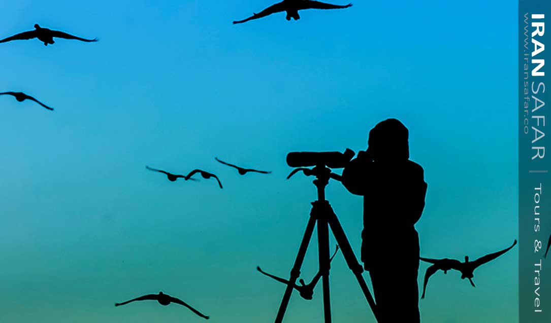Man birding with binocular 