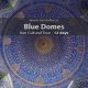 Iran 12 day Cultural Tour BLUE DOMES