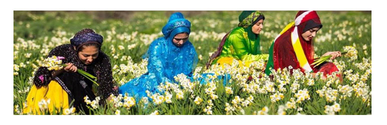 Iran Nomad Tours Visit Iranian Tribes Iransafar Tours