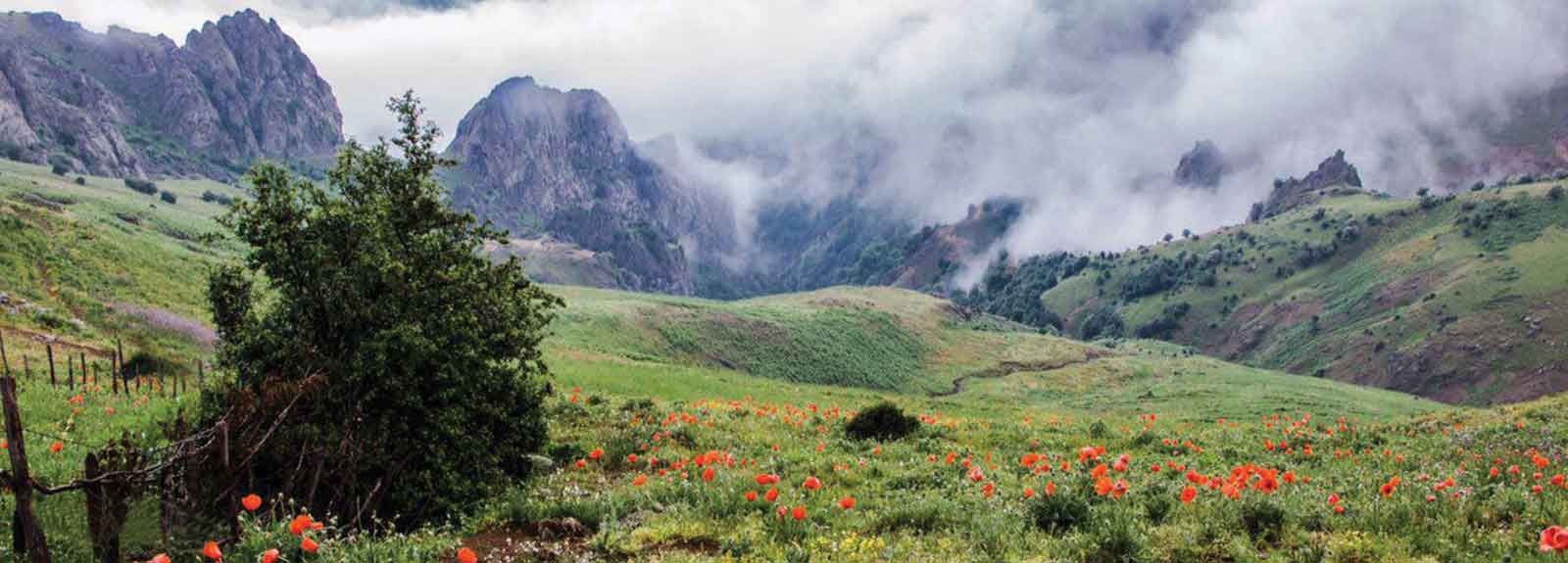 Iran s Natural Attractions Iran Safar