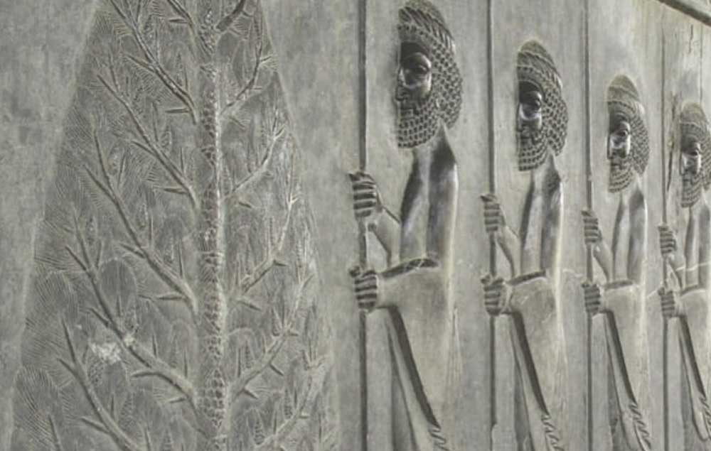 Cypress Persepolis Motif Symbol 
