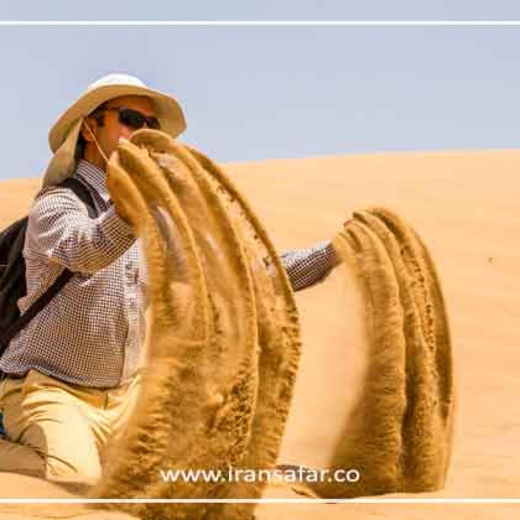 Sasanian Empire - History, Timeline & Facts - Iran Safar